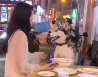 Bad date I guess