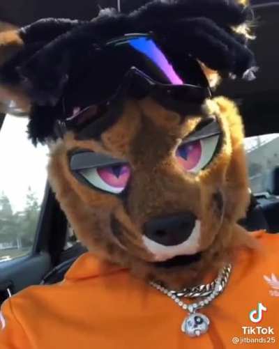 Furry takeover