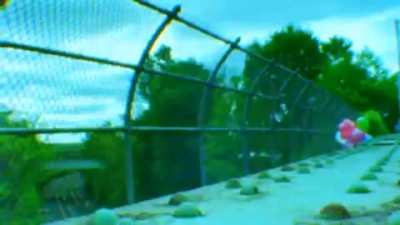 DOM - LIVING IN AMERICA
