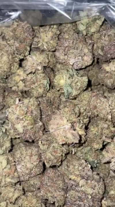 Purple Pk (AAA)<wbr>🔥☔️