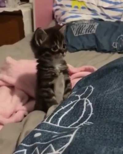 She's so adorable!