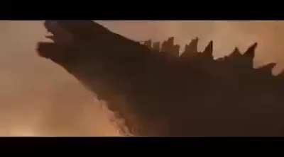 AAAAAAAAAAA