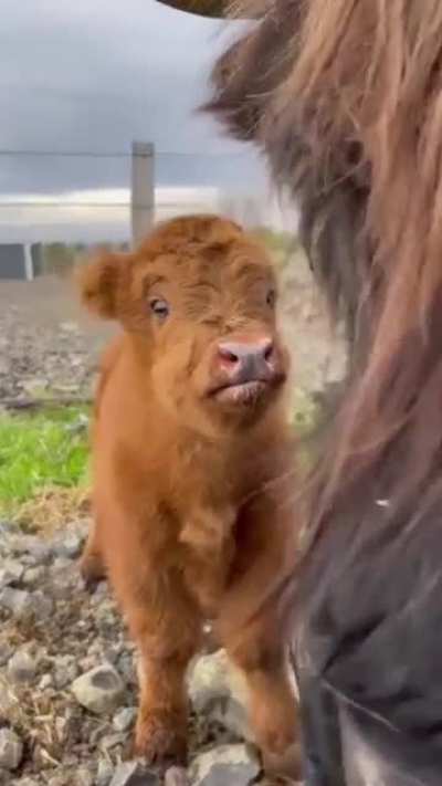 Sweet baby! 🥰