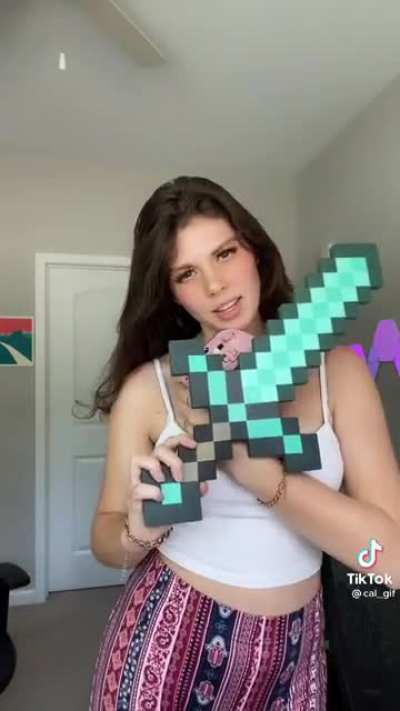 Master of Minecraft