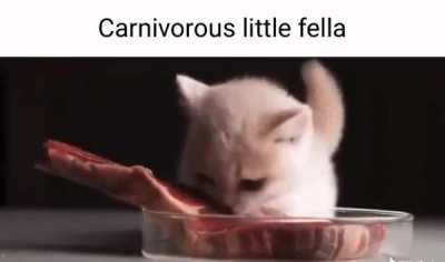 rule