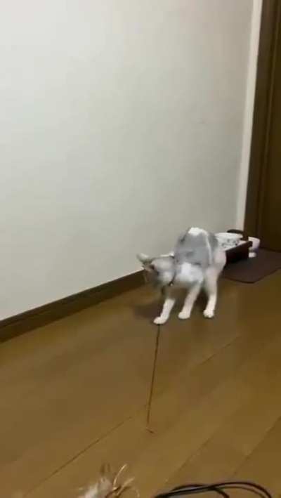 Fine, I'll play with it myself