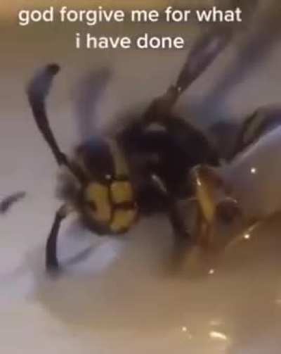 Nooo 😭