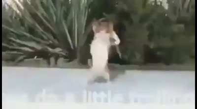 little little little trolling