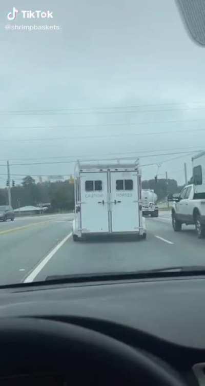 Caution: Horses
