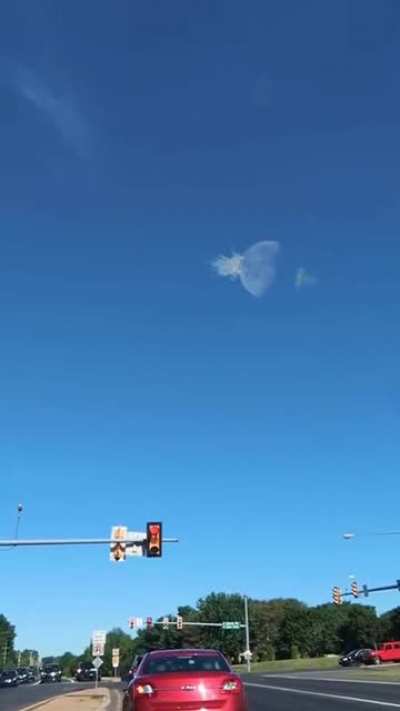 Is that a bird?