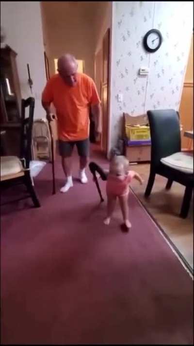 Baby imitates her grandpa’s walk with a cane, 😂😆