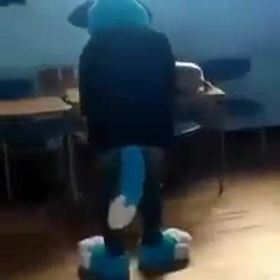 Самые пушистые берут верх!