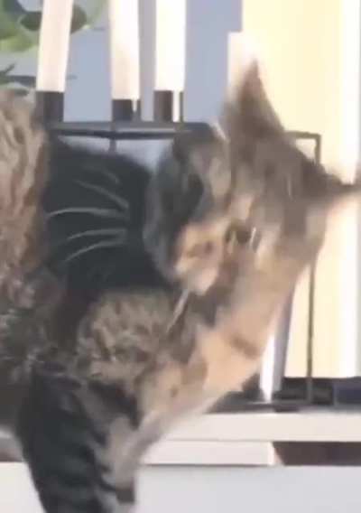 What did you just say?
