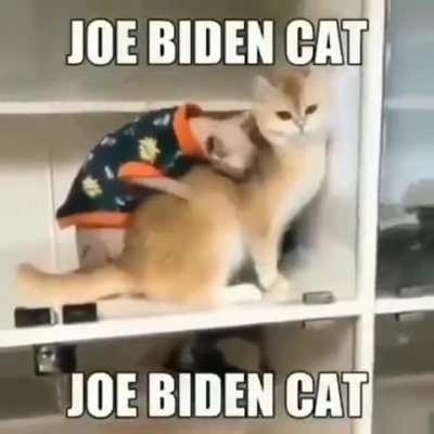 john biden (he/they)