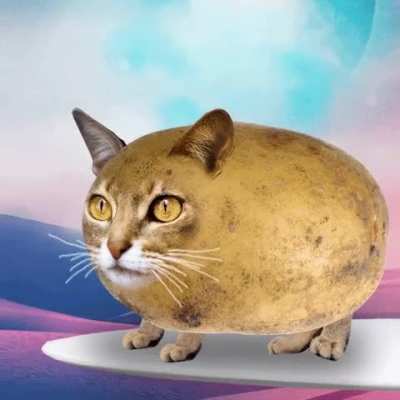 hmmm