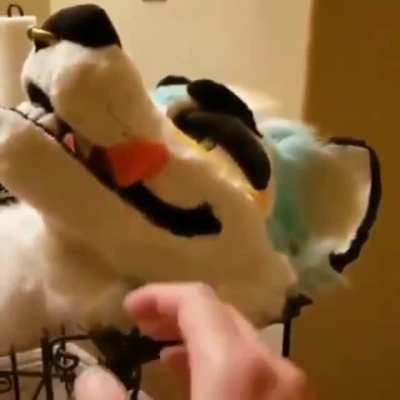 Toilet_irl