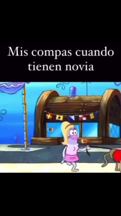 Domado1 ☕🗿