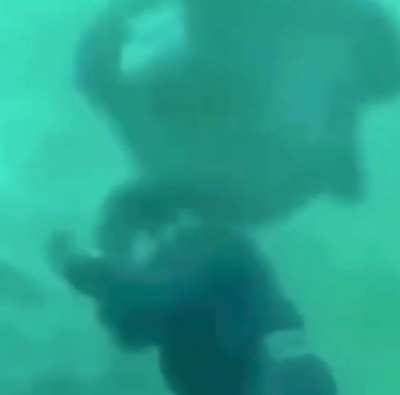The scariest sea creature of them all...