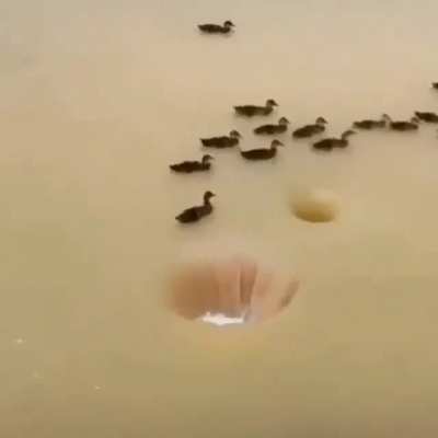 Time to enter the hole