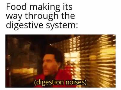 The food seeing the light at the end of my asshole