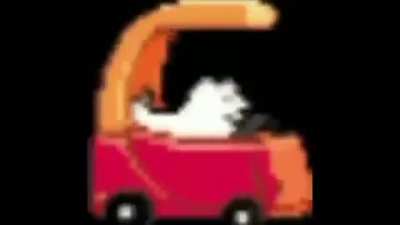 el perro que