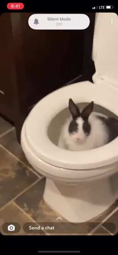 I thought I heard splashing coming from the bathroom…