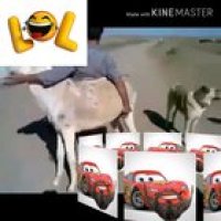 PUNJABI 2018 WHATSAPP CALL PENIS SEX BRUH NIGGA L😎😕😎😕😎😕😎أنا أستمتع بالاستماع إلى الكوميديا العربية، إنه ممتع. ❤️😘😅😭😅😭👌😁
