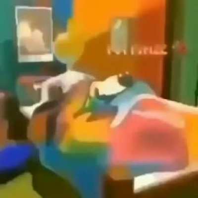 donald noooo
