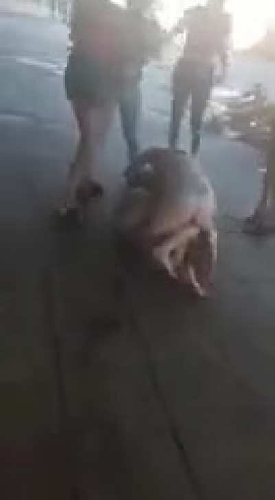 Woman fighting outside of nightclub in Argentina