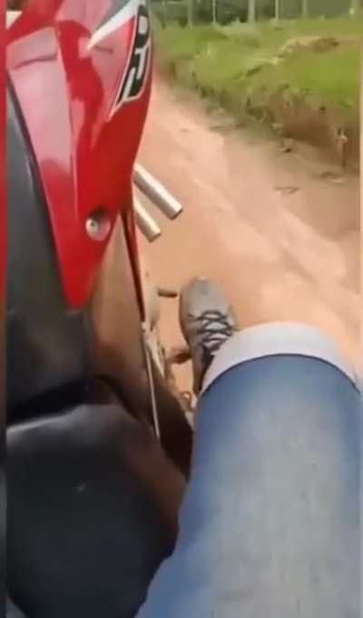 as i pop this wheelie