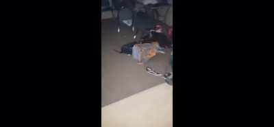 Just a normal sleepover :)