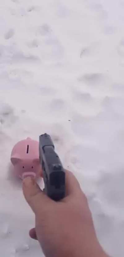 🐖