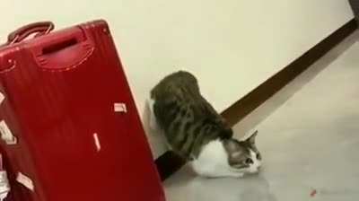 Charged just to get slapped