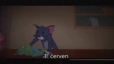 Češi při covidu