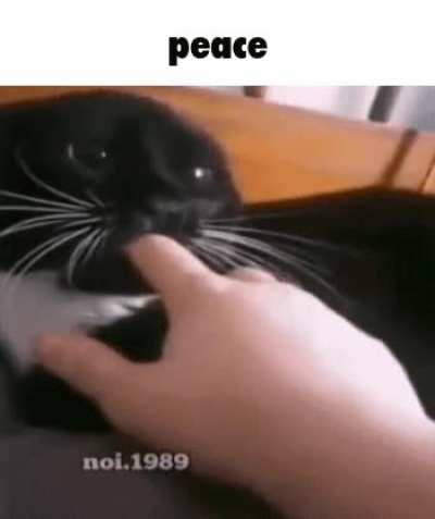 Robl