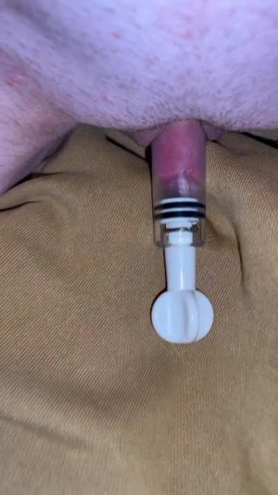 Amateur GIF by seafaith