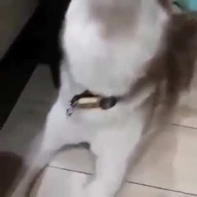 UuuuuuuAAAAAAAhhh