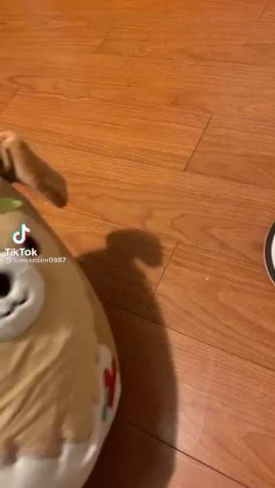 Oh