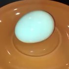Cutting an egg