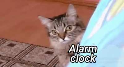 No, not again