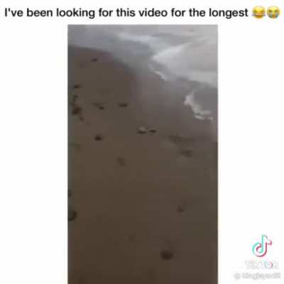 kids first time at the beach
