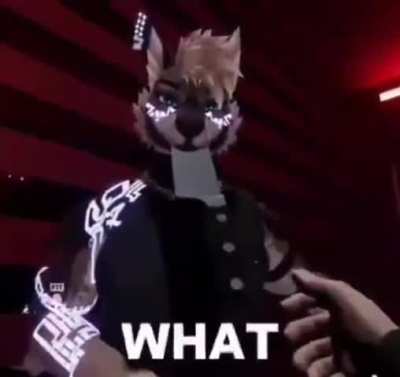 Losercity VR Chat