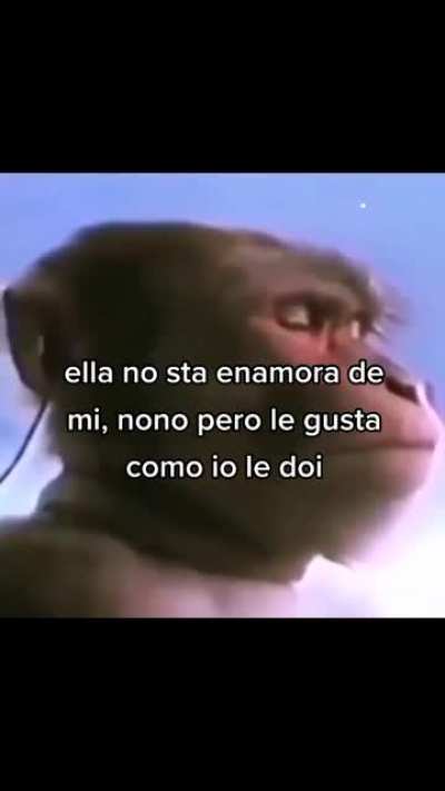 fino
