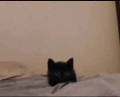 :(