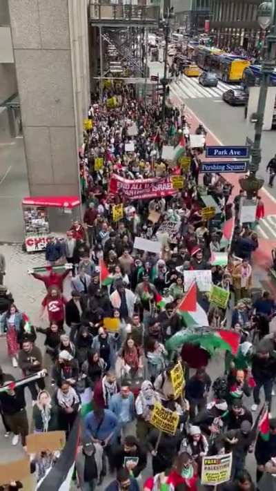 Massive rally for Palestine in NYC