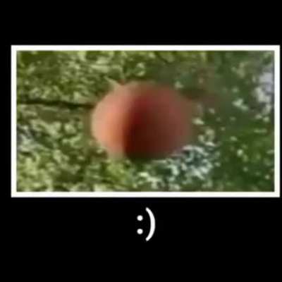 Trickshot