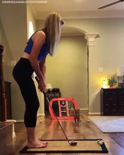 Golf with cat