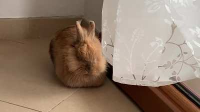 Entering loaf mode