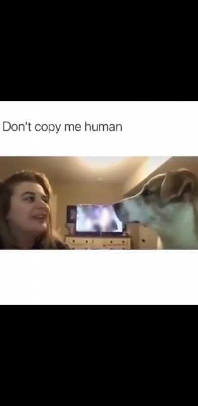 How dare you ?