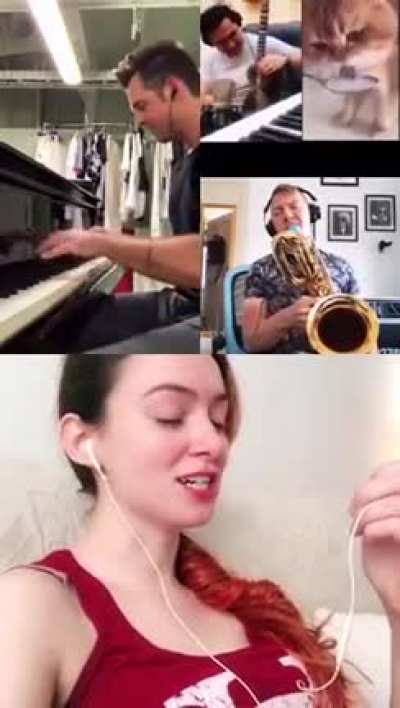 Cat Jams